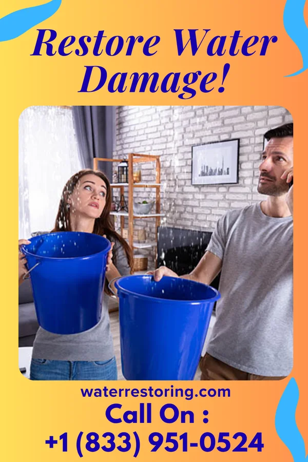 water restoration Total Flood Recovery Services Trafalgar