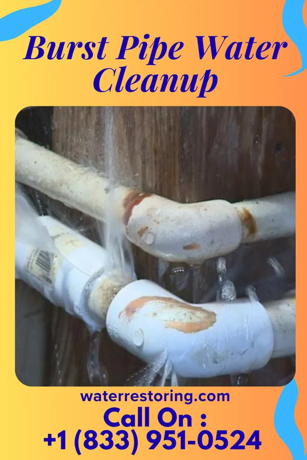 Burst Pipe Water Cleanup in Trafalgar, IN