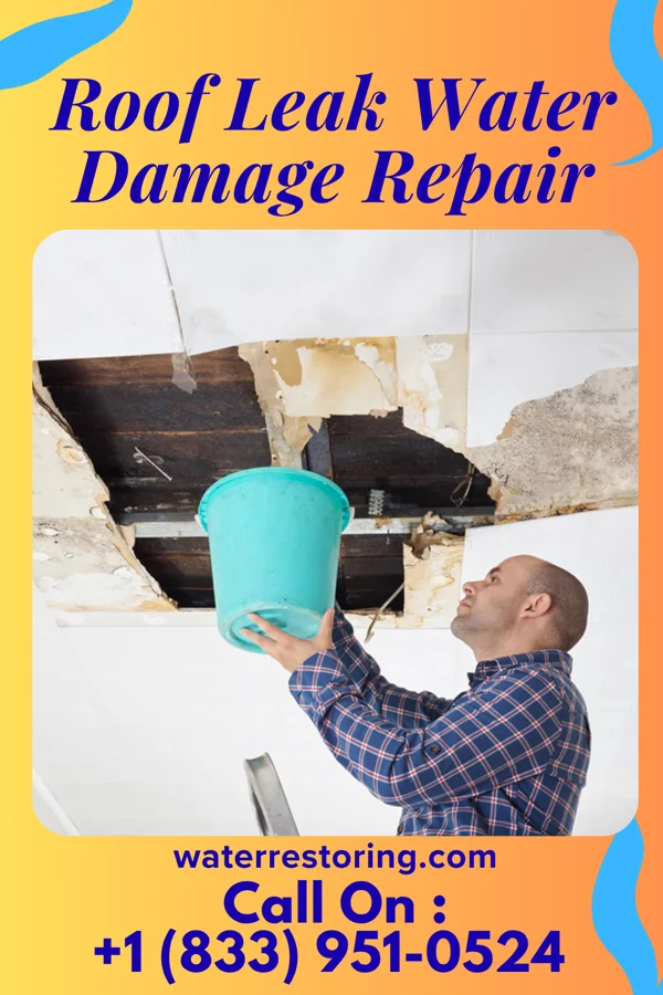 Roof Leak Water Damage Repair in Trafalgar, IN